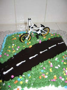 2010 pictures etc 292