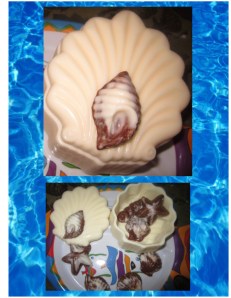 sea shell candy box