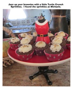 Turtle Crunch SPrinkles