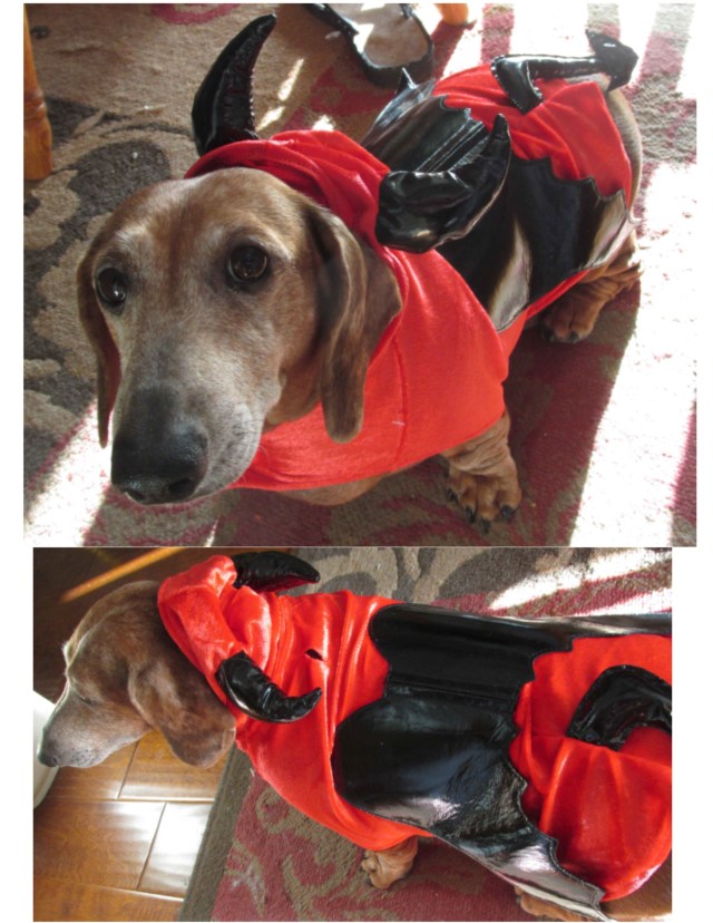 Brutus Halloween Costume