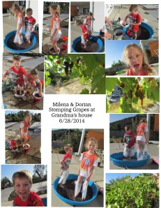 Stomping Grapes