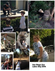 Zoo Labor day 2014