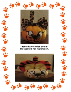 kitten pumpkins
