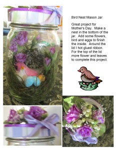 Bird Nest Mason Jar