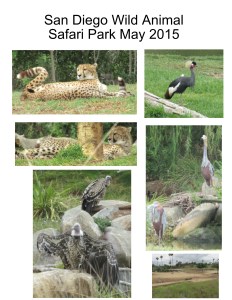 San Diego Wild Animal Park