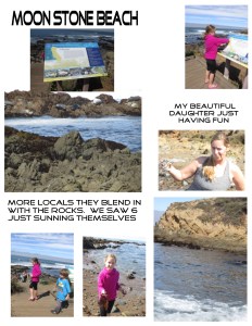 Moon Stone Beach1