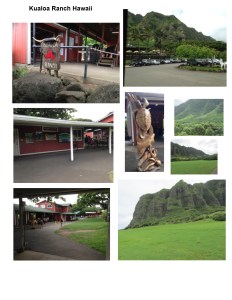 kualoa-hawaii