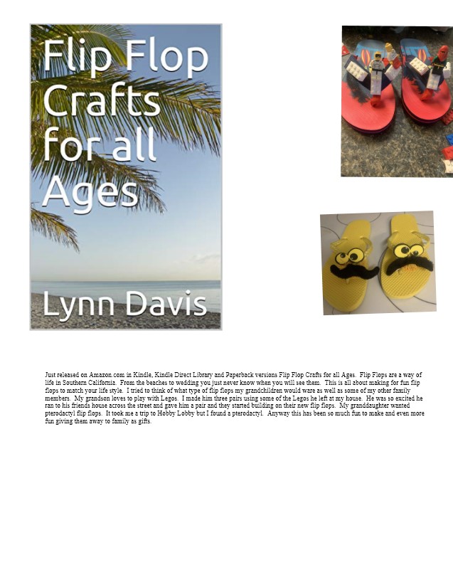 flip flop final description